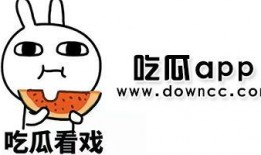 吃瓜网红正能量黑料,正能量与黑料的双重面孔