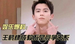 成毅王鹤棣最新八卦爆料,神秘女子引热议！